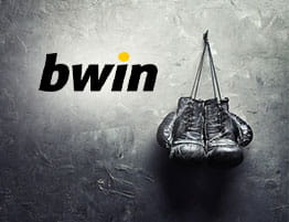 Das Logo von bwin und eine Boxen Szene.