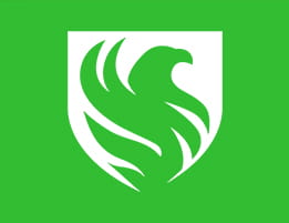 Das Logo von Falcons eSport.