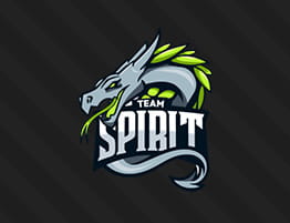 Das Logo von TSpirit.
